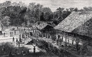 Workers on a Coffee Plantation